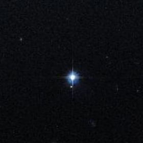 Мирза Гамзаев Profile Picture