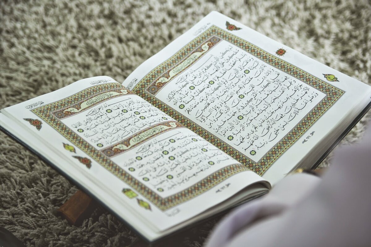 islamvopros Profile Picture