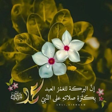 hibaa hussien