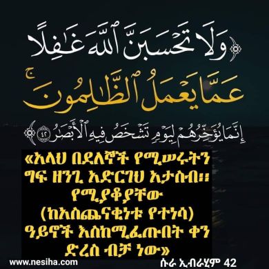Namus Abdullahi Profile Picture