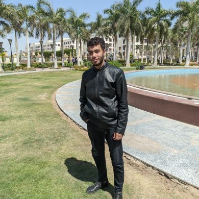 محمد راغب
