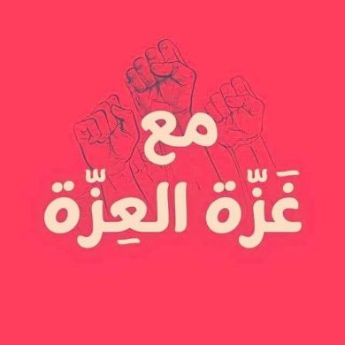 ابو احمد المصرى