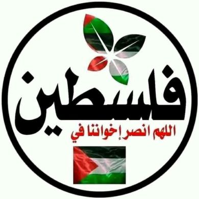 haya ali Profile Picture