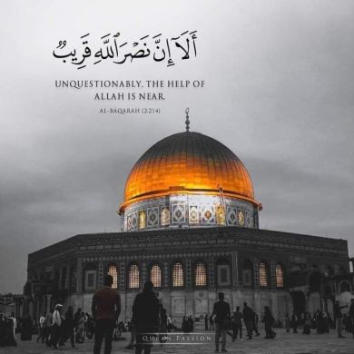 umutesnim32