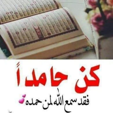Hayat murad Profile Picture