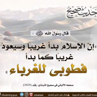 سمير إبراهيم