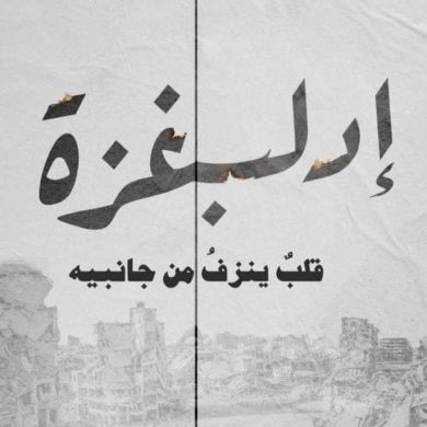 بلقيس فاروق سباعنة Profile Picture