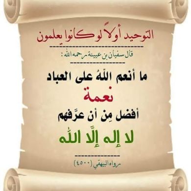 ibnuahmed