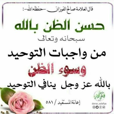 amina emam hussen