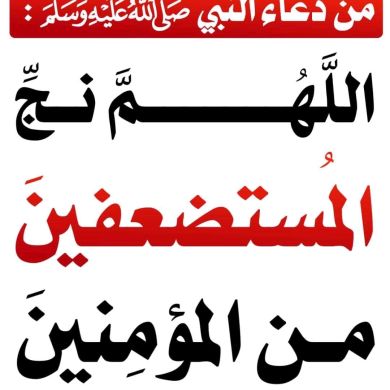 abdulferid abrar