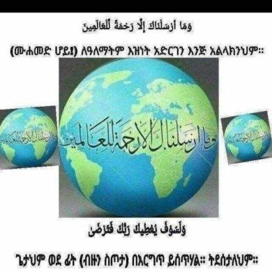 Zhara mustefa profile picture