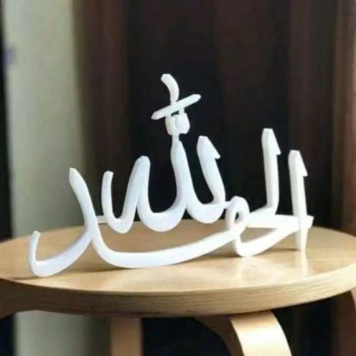 Ummu Rusheda Negash
