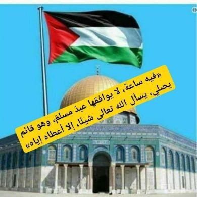 Abdulmalik naser Profile Picture