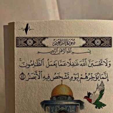 Ahmed-006
