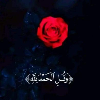 Hayat Ali Profile Picture