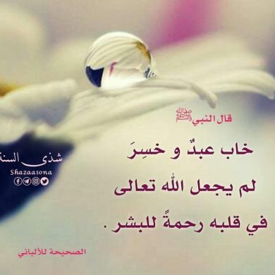 شهرزاد تآج الوقار