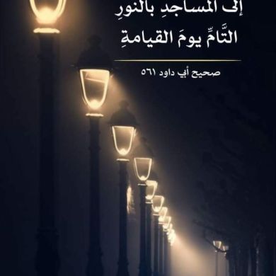 محمد فوزي
