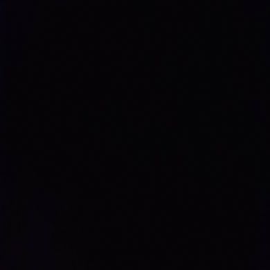 Alisher Kholboev Profile Picture