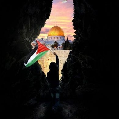 Amr Nabiel Profile Picture