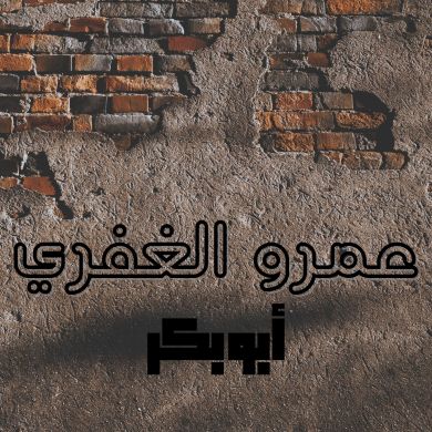 عمرو الغفري