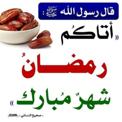 Mohammed ahmed