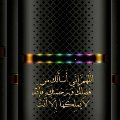 محمود أنيس أبو خالد