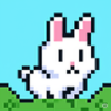 Poor Bunny