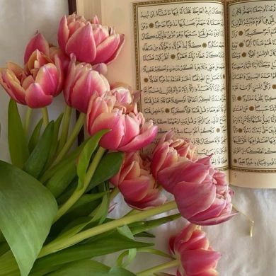 binte_ahsan