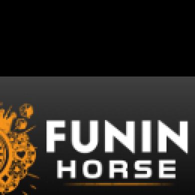 Funinhorse Official Profile Picture