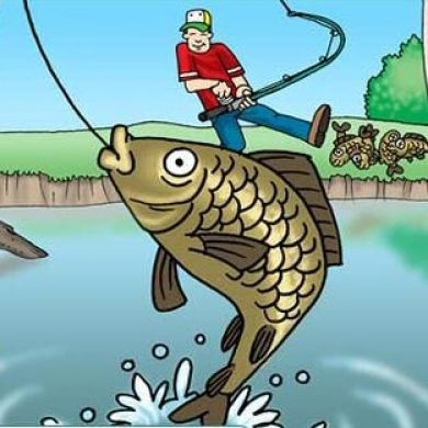 allfishing buy Profile Picture