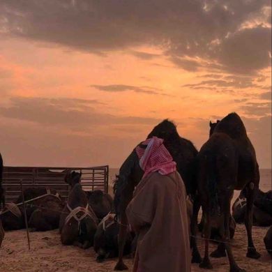 ‏توحيد ت