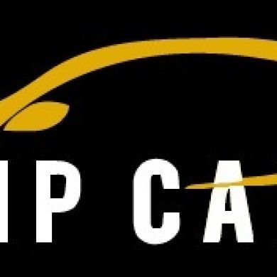 Cars Car Transporter