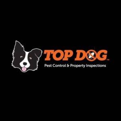 Top dog pest Control