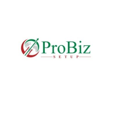 ProBiz Setup