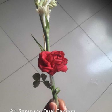 Md Sajidur islam Sob